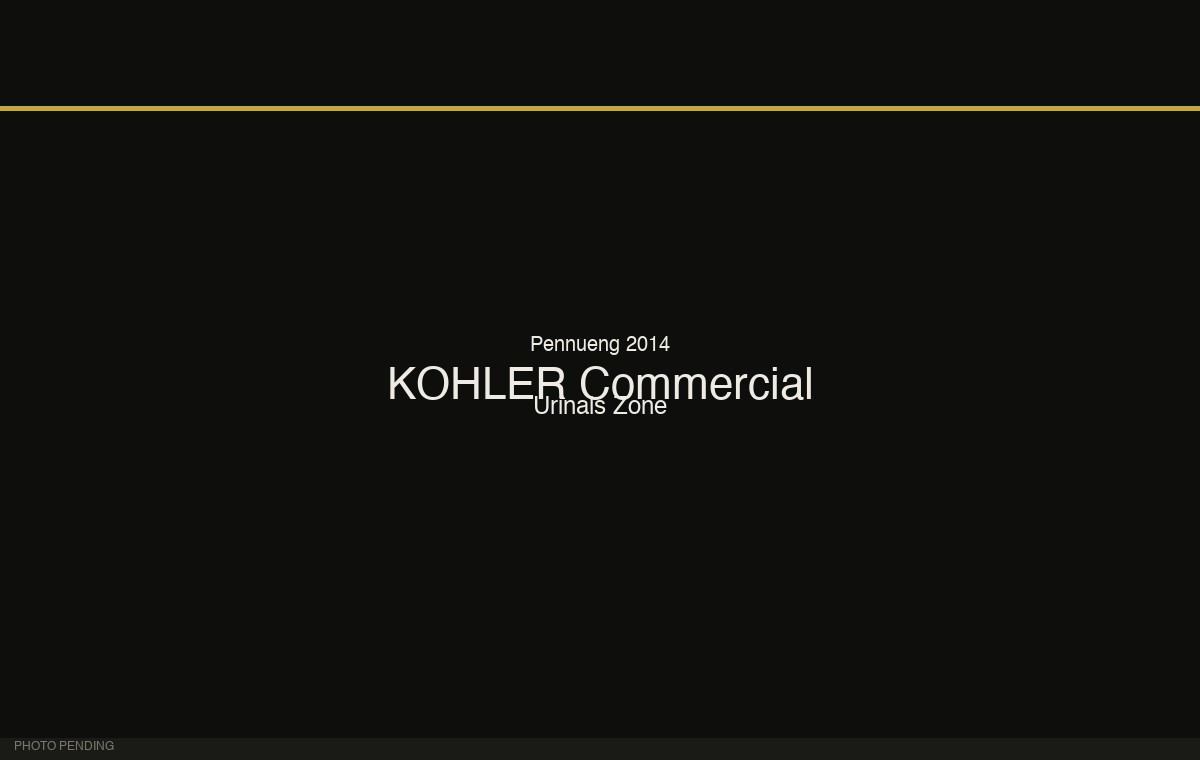 KOHLER Commercial Urinals Zone